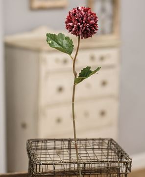 Picture of Pompom Flower Stem, 14" - Dark Mauve