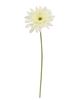 Picture of Blooming Daisy Stem, White