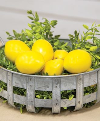Picture of 8/Pkg - Mini Lemon Bowl Fillers