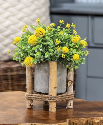 Picture of Cement Planter in Wooden Frame, 5" Sq. x 5.5" H