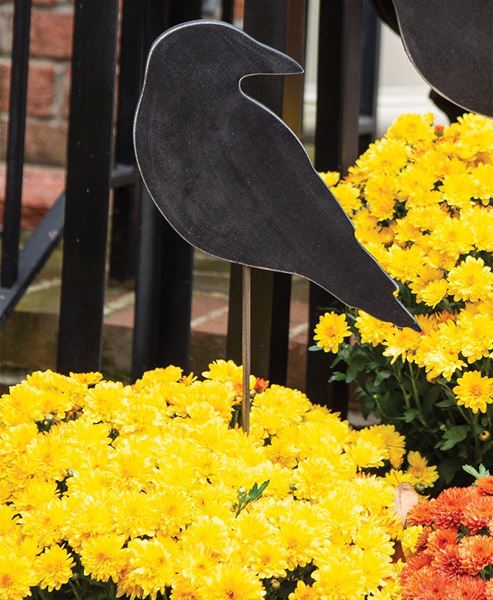 Picture of Wooden Crow Planter Stake Topper, 6.5"H