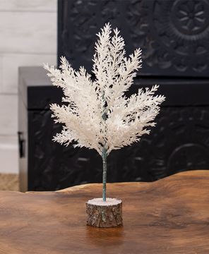 Picture of Frosty Dreams Spruce Tree, 12"