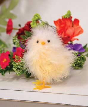 Picture of Fuzzy Standing Chick