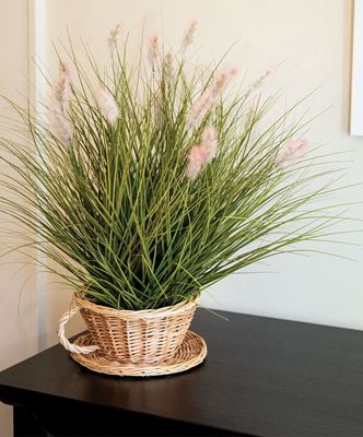 Picture of Natural Willow Coffee Cup & Saucer Basket, 8" x 4"