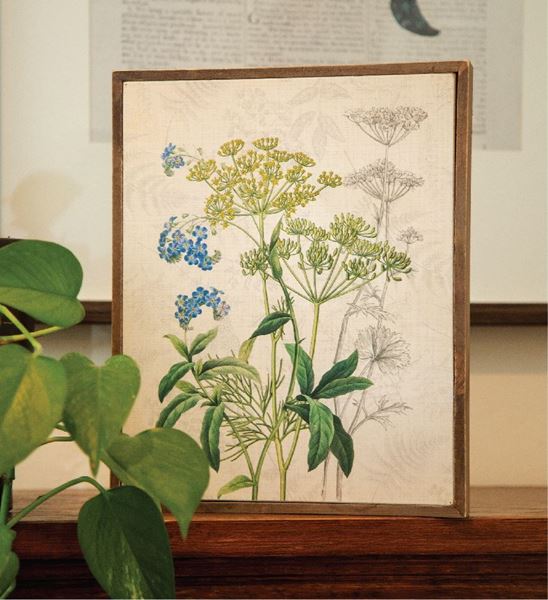 Picture of Forget-Me-Nots & Dill Botanical Box Sign