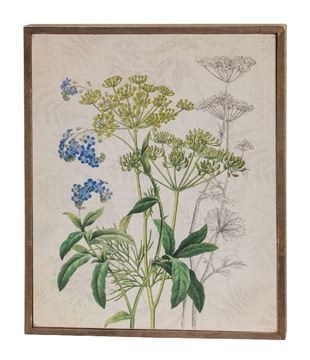 Picture of Forget-Me-Nots & Dill Botanical Box Sign