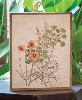 Picture of Coral Anemone & Dill Botanical Box Sign