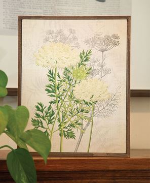 Picture of Queen Anne's Lace & Dill Botanical Box Sign