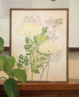 Picture of Queen Anne's Lace & Dill Botanical Box Sign