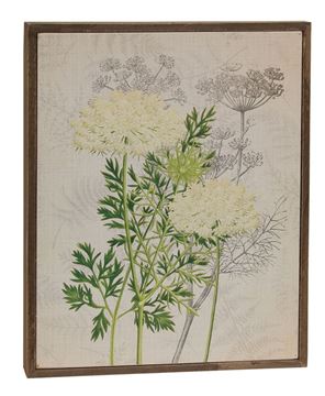 Picture of Queen Anne's Lace & Dill Botanical Box Sign