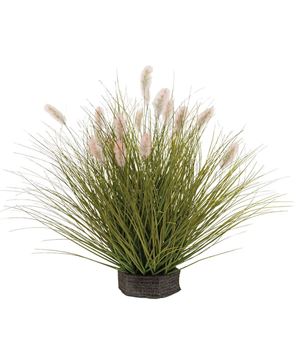 Picture of Onion Grass & Bunny Tail Pot Filler