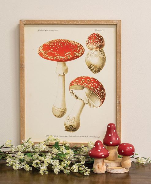 Picture of Vintage Amanita Muscaria Mushroom Framed Print