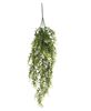 Picture of Cream Tipped Baby's Grass Hanging Bush, 34"