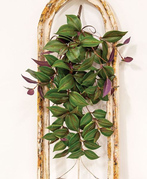 Picture of Day Flower Hanging Vine Bush, 25"