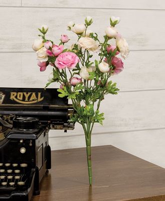 Picture of Pink & Cream Ranunculus Bush, 18"