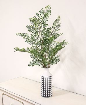 Picture of Maidenhair Fern Bush, 27"