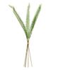 Picture of Sword Fern Bundle, 27"