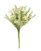 Picture of Delicate Cream Astilbe & Lace Bush, 14"