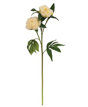 Picture of Cream Peony Spray - 30"