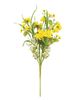 Picture of Sunny Chrysanthemum & Daisy Bush - 20"