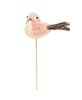 Picture of Pastel Sisal Bird w/Twiggy Tail Pick - 3 Asstd.