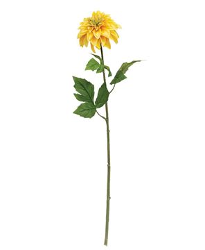 Picture of Yellow Dahlia Stem - 24.5"