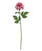 Picture of Hot Pink Dahlia Stem - 24.5"