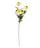 Picture of Yellow Black-Eyed Susan Spray, 26"