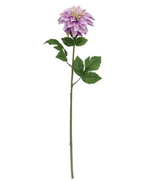 Picture of Purple Dahlia Stem, 24.5"