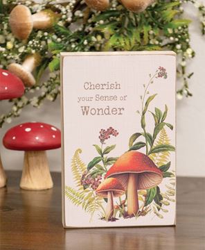 Picture of Cherish Your Sense of Wonder Mushroom Floral Block