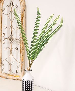 Picture of Sword Fern Bundle, 27"