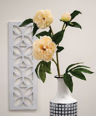 Picture of Cream Peony Spray - 30"