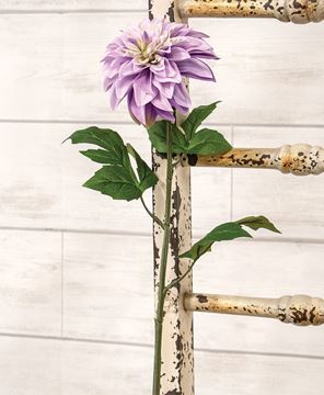 Picture of Purple Dahlia Stem, 24.5"