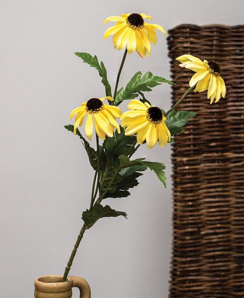 Picture of Yellow Black-Eyed Susan Spray, 26"