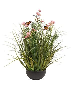 Picture of Potted Pink Cosmos w/ Onion Grass & Butterflies