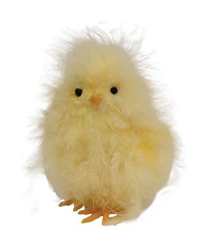 Picture of Fuzzy Standing Chick