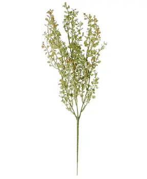 Light Green Peppergrass Bush, 19"