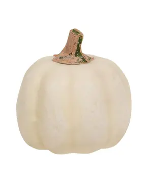 Mossy Top Cream Pumpkins, 5/Set