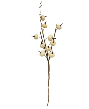 Cream Pumpkins Spray