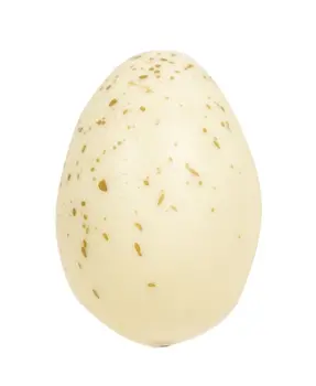 Natural Speckled Eggs in Bag, 6/Set