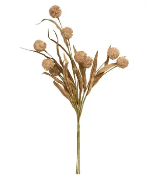 Fall Grass & Billy Ball Spray, Natural