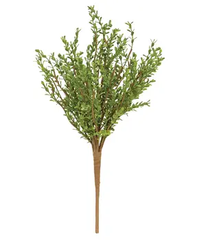 Baby Boxwood Bush, 16"H