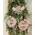 Blessed Bee Flower Ornaments, 3/Set