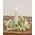 Delicate Cream Astilbe & Lace Candle Ring, 2"