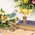 Cottage Rose Distressed Wooden Bird on Spool - 2 Asstd., 38981