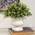 Distressed White Urn, 70228