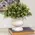 Distressed White Urn, 70228