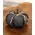 Dark Gray Chevron Pumpkin, Medium