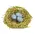 6/Set - Mini Speckled Eggs in Mossy Nests, SA112643