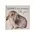 Bunny Love Square Block, 3 Asstd.Bunny Love Square Block, 3 Asstd.